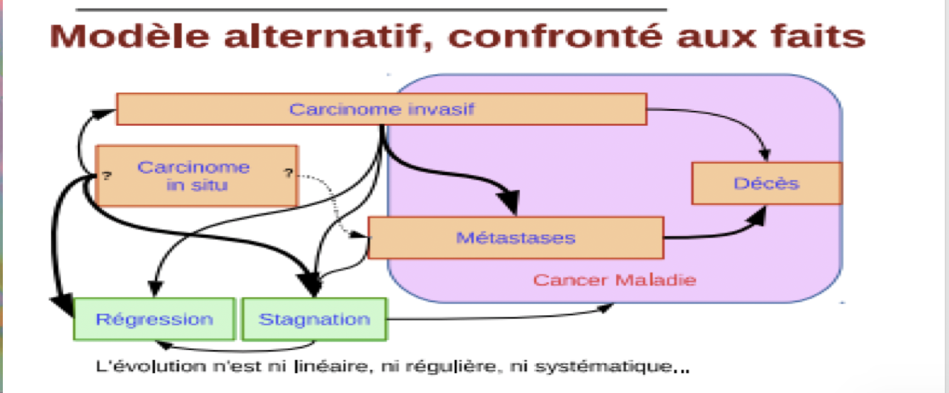 Qu’est-ce que « l’histoire naturelle du cancer » ? – Cancer Rose